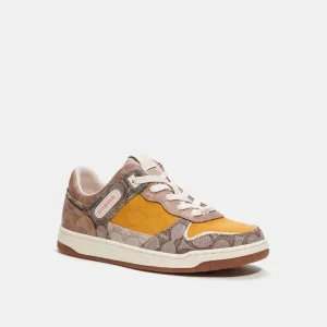 C201 Low Top Sneaker In Signature