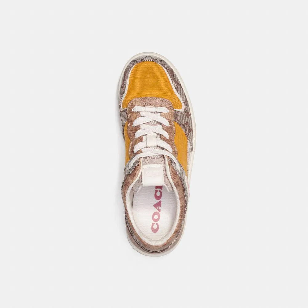 C201 Low Top Sneaker In Signature