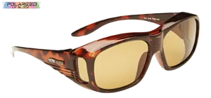 Regular Sized Over Glasses